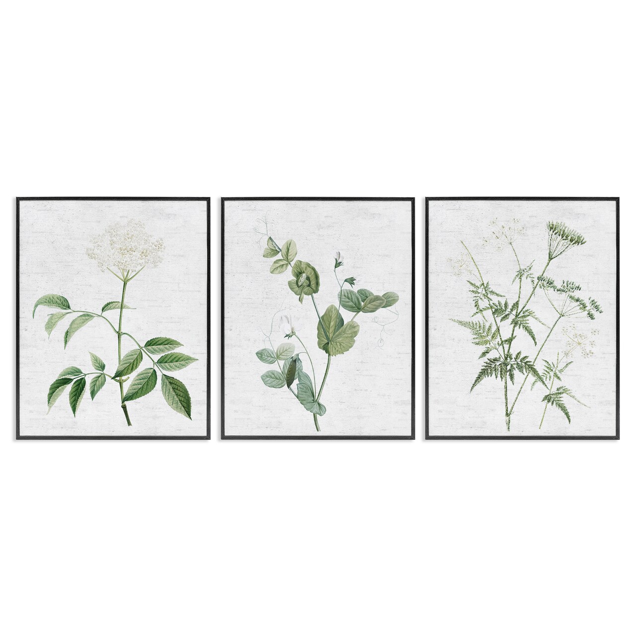 Stupell Industries Soft White Botanicals 3pc Framed Giclee Wall Art Set Design by Lettered and Lined